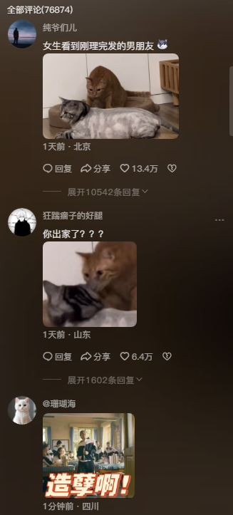 橘猫与灰猫的“无毛惊喜”！橘猫:你去搓澡了吗？