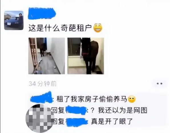 离谱！租客跟房东说养宠物，结果养的是一匹马？？