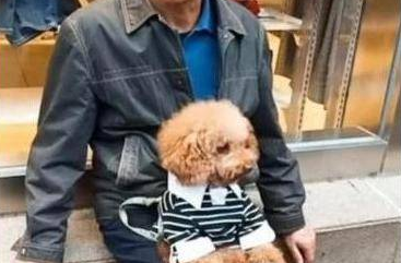大爷将泰迪放腿上姿势超可爱，就像带孩子一样，把众人逗乐！ 
