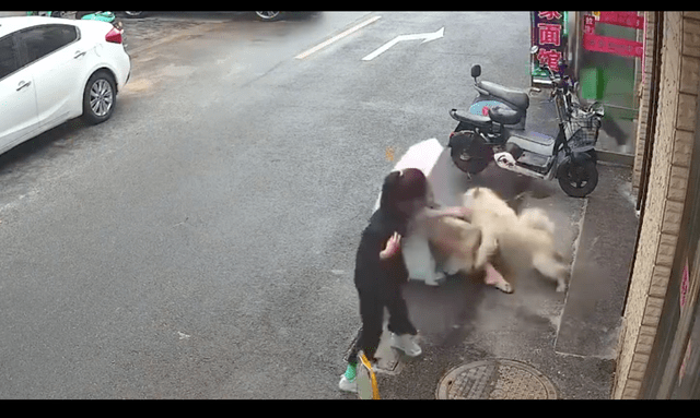 女士主动去摸路边的松狮犬，结果脸部被咬毁容！主人：会给予赔偿 