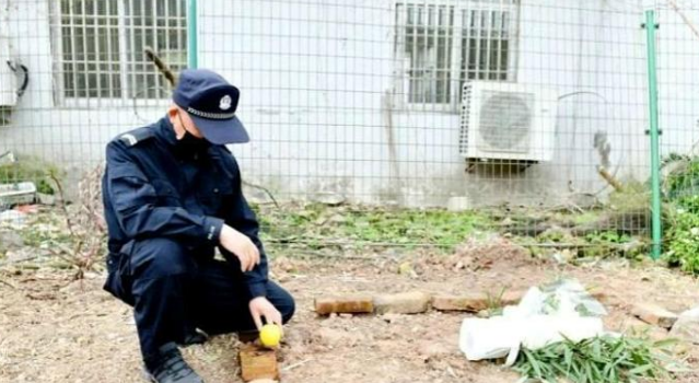 在警犬的墓地，训导员后悔自己做的事情，真相使网友泪目