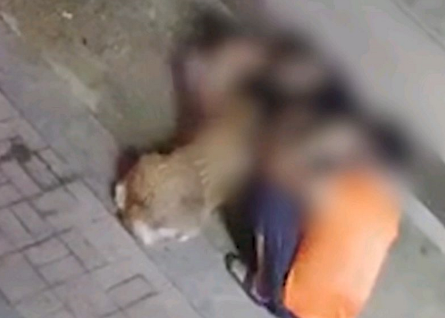 男子用摩托车撞狗，还用棍棒击狗，狗狗被虐打浑身是伤…… 