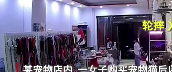 丧心病狂！江西一女子买猫后拎起猫咪暴摔多次，致猫死