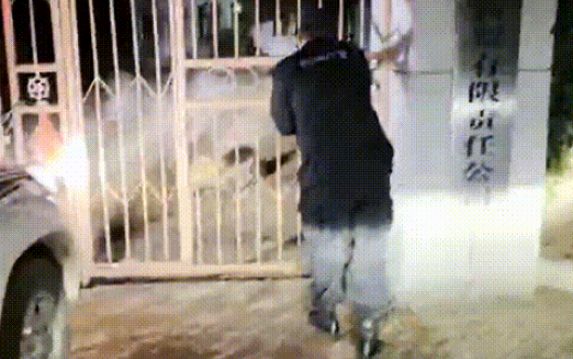 疯狗发作咬伤主人！榆林民警果断击毙