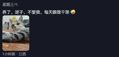 如果你心情忐忑，就去养只爱你的猫吧！