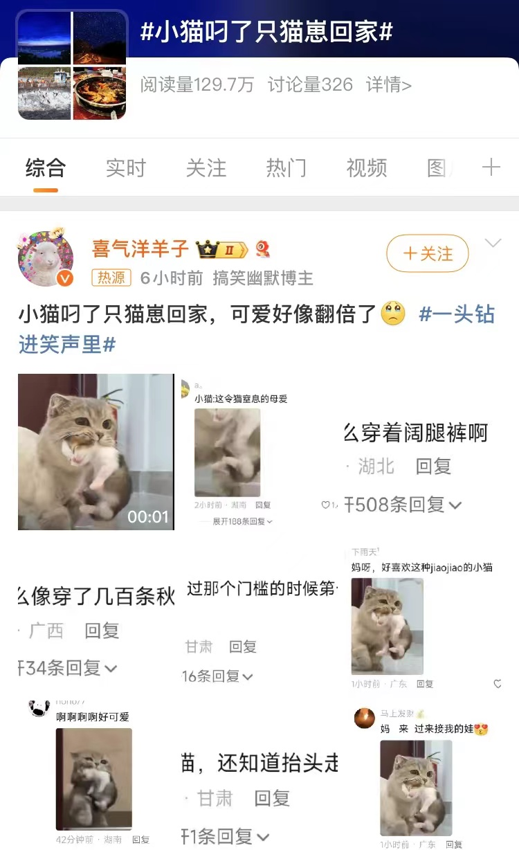 小猫英勇救幼，温情一幕引发热议