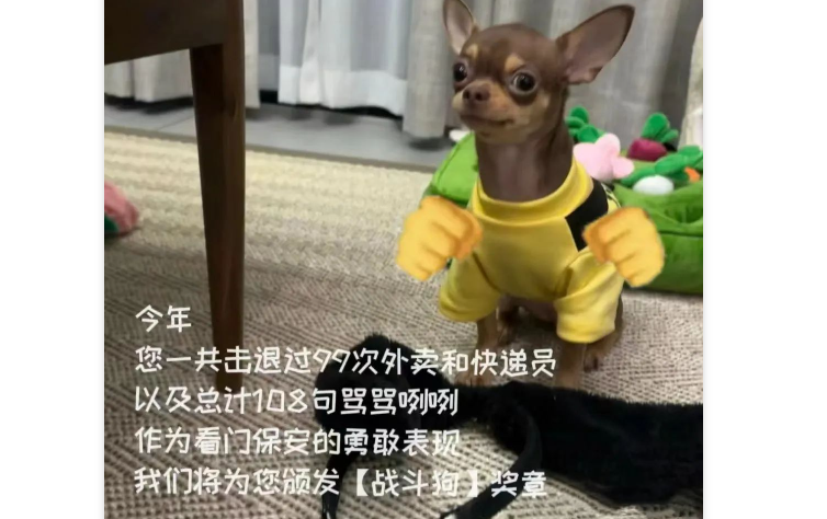 网友晒给狗子做的年终总结，每一条都超有创意，快来学习学习！