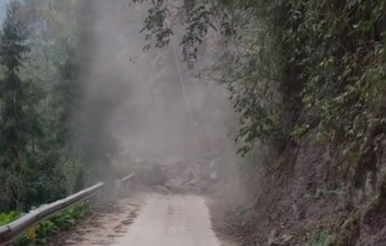 被收养流浪狗跳车拦住怀孕主人 下一秒山路塌方