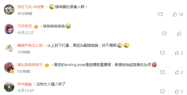 竟然被一只小狗鄙视了，这高傲的眼神学不来