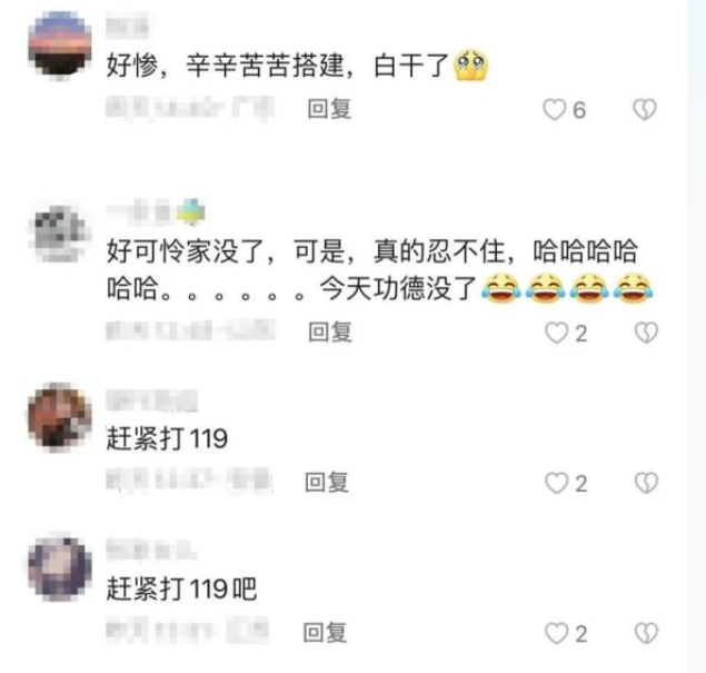 小鸟误叼烟头回巢被烧家，炊烟袅袅变“鸟鸟吹烟”