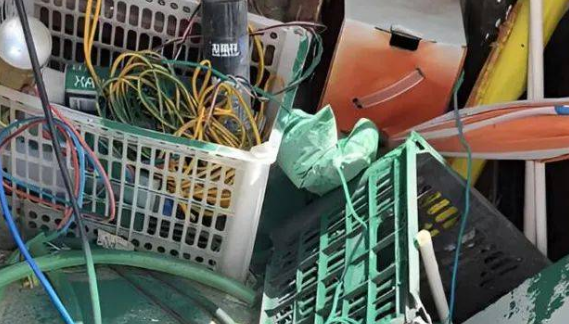 白猫跌进漆桶变绿猫，主人洗到奔溃，沐浴露用了快一瓶！