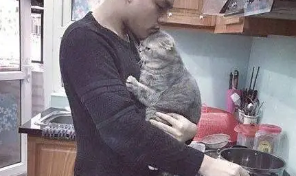 买了一只猫咪，男友十分嫌弃，出差3月后回家一看瞬间懵了……