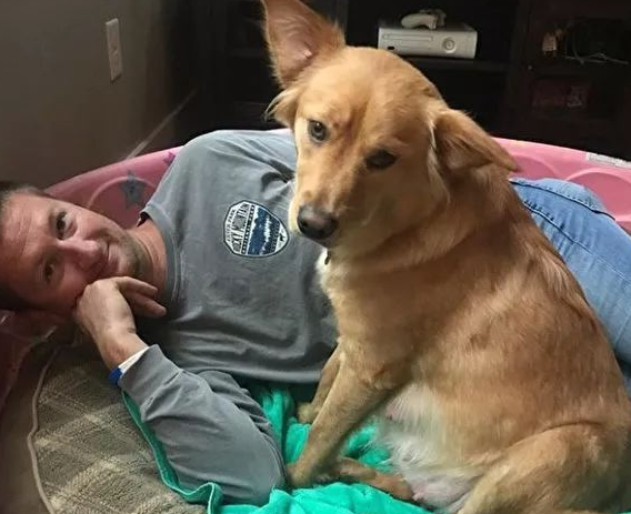黄金猎犬生下奇异后代 一窝“奶牛”让新主人惊呆