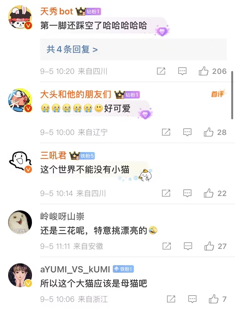 小猫英勇救幼，温情一幕引发热议