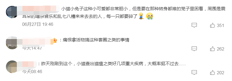 网友花50块套了一只小猫回家，结果出人意料