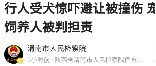 重庆一行人避犬时遭撞伤，饲养人被判赔偿17多万？