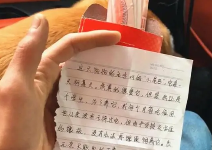 狗子被装纸箱丢弃树下，拆开纸箱发现红包