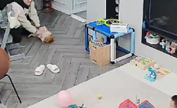 狗狗躺下来求回来的爸爸抚摸，儿子看见后，竟也躺下来！ 