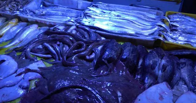虾美蟹肥鱼鲜！青岛李村大集“海味儿”十足