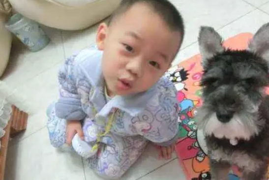 安徽小学校长脚踩流浪狗，目击者称狗狗惨叫连天，网友：建议加薪 