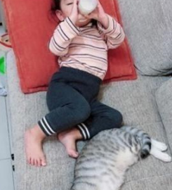 玩具被猫咪抢走，小主人崩溃大哭，猫咪无奈撒开手：别哭了，还你