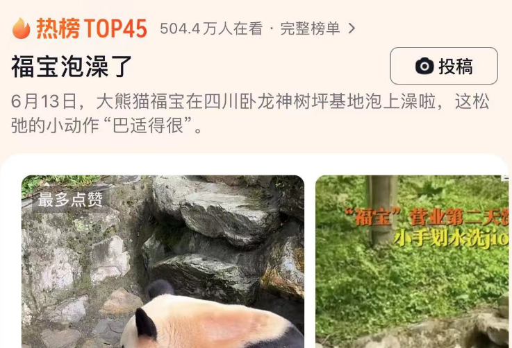 福宝泡澡了，憨态可掬样儿令网友捧腹不已