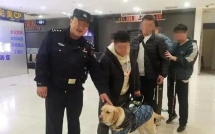 导盲犬带主人吃火锅迷路 网友：是导盲犬不是导航犬