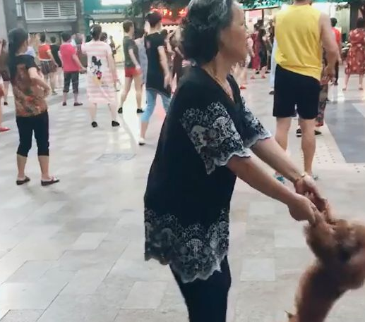奶奶在广场上跳舞时没舞伴，结果灵机一动抓住旁边的泰迪！
