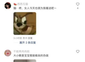 在一只猫的脸上看到了一脸坏相，它在谋划什么？