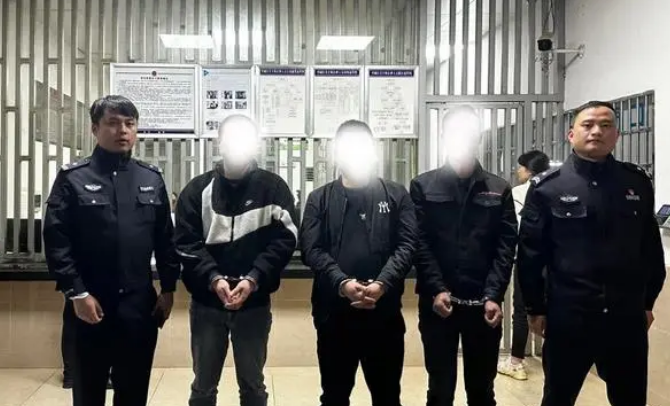 好家伙，这三人对狗“碰瓷”获利4万余元