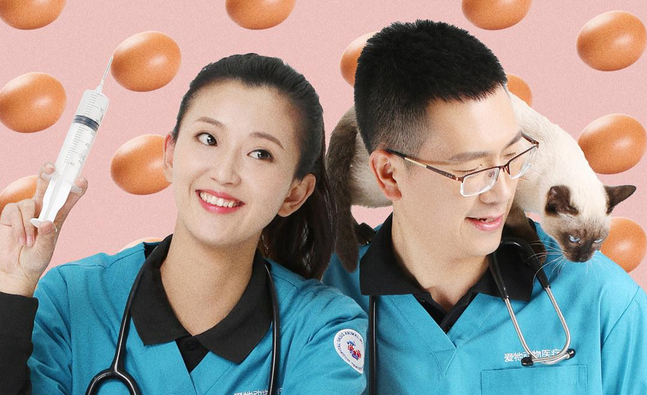 治愈系宠物真人秀《宠物医院》抢占宠医市场制高点