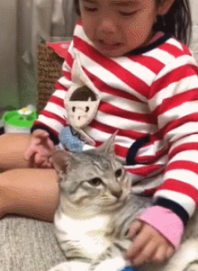 玩具被猫咪抢走，小主人崩溃大哭，猫咪无奈撒开手：别哭了，还你