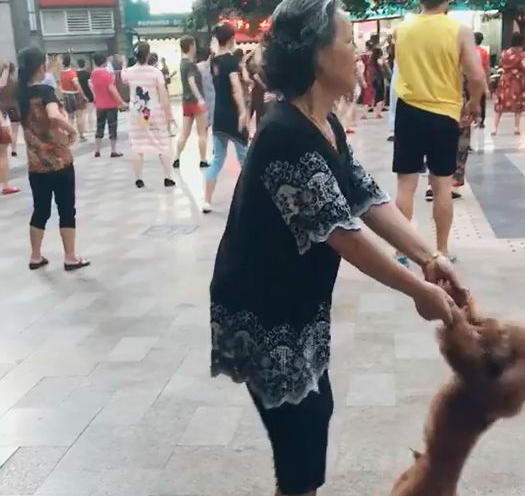 奶奶在广场上跳舞时没舞伴，结果灵机一动抓住旁边的泰迪！