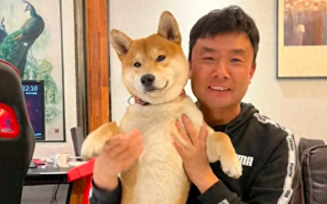 柴犬走丢了9个月，主人终于在500公里外的地方找到