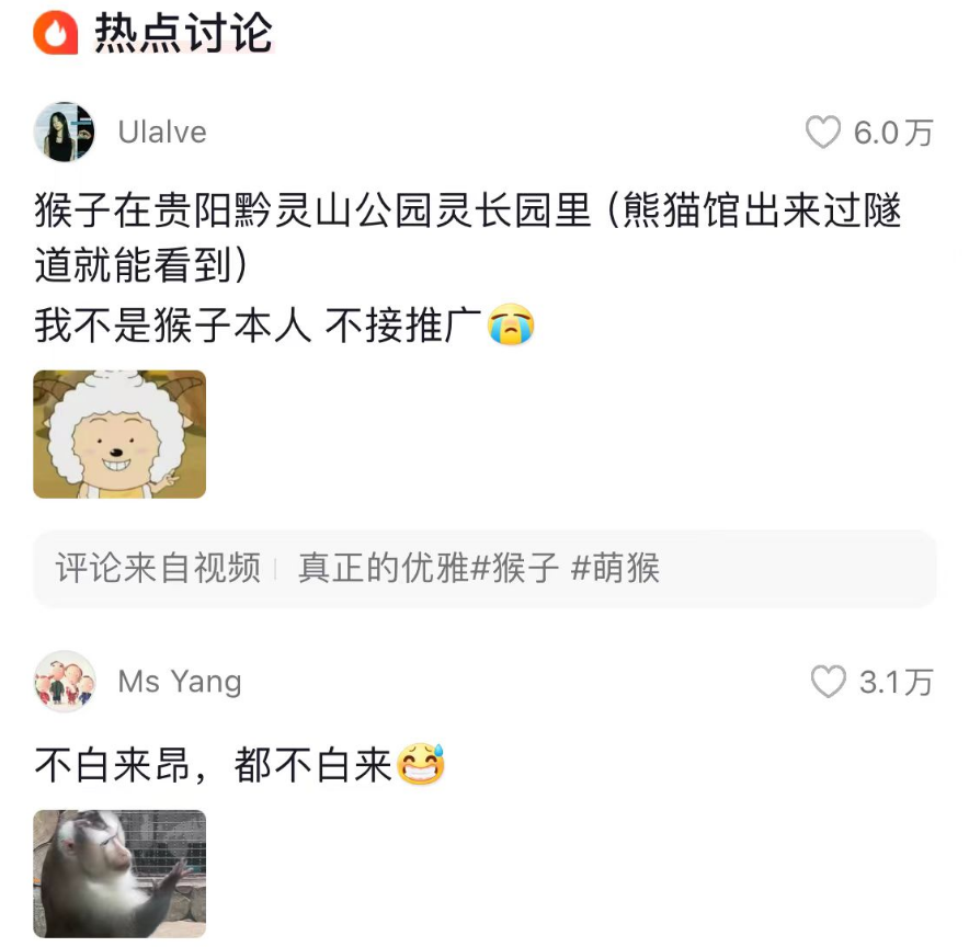猴界时尚先锋，快来了解一下